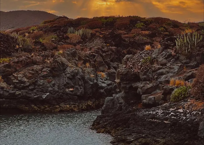 Alba Del Mar Private Heated Pool 20 M To The Ocean